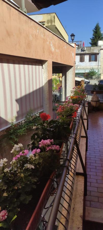Elisa E Carla House Beautiful Apartments On The Cassia Rome Buitenkant foto